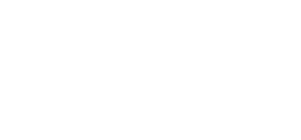 Vera Institute of Justice